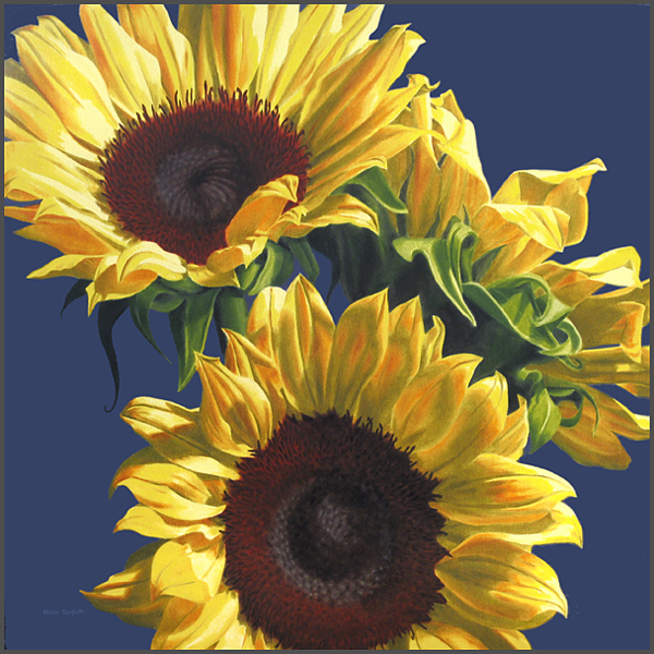 Sunflowers On Blue - Nance Danforth Paintings
